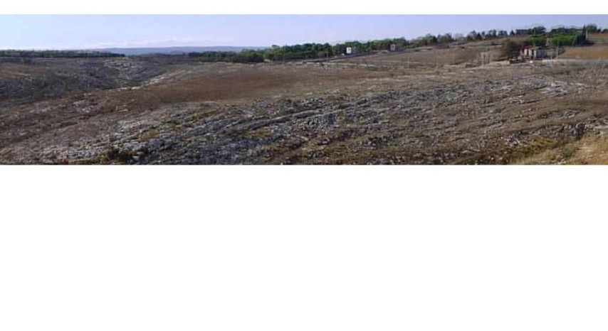 02_PANORAMICA ESTRIDOTTA